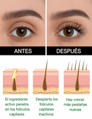 GFOUK™ Lashelixir | Suero Para Pestañas Y Cejas